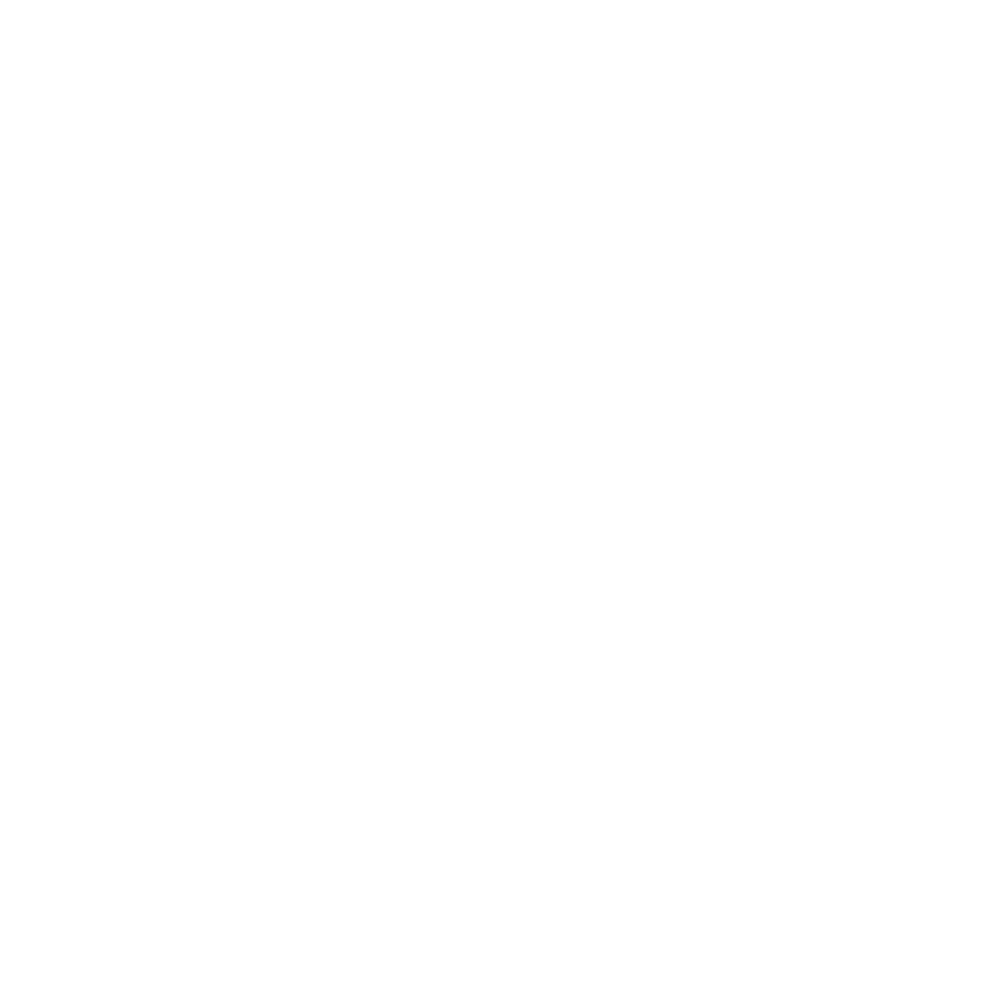 NOVOS FOGOS